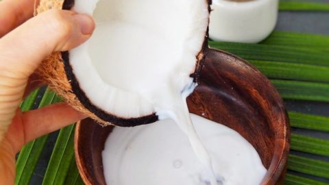 Kokosmilch selber machen einfaches Rezept