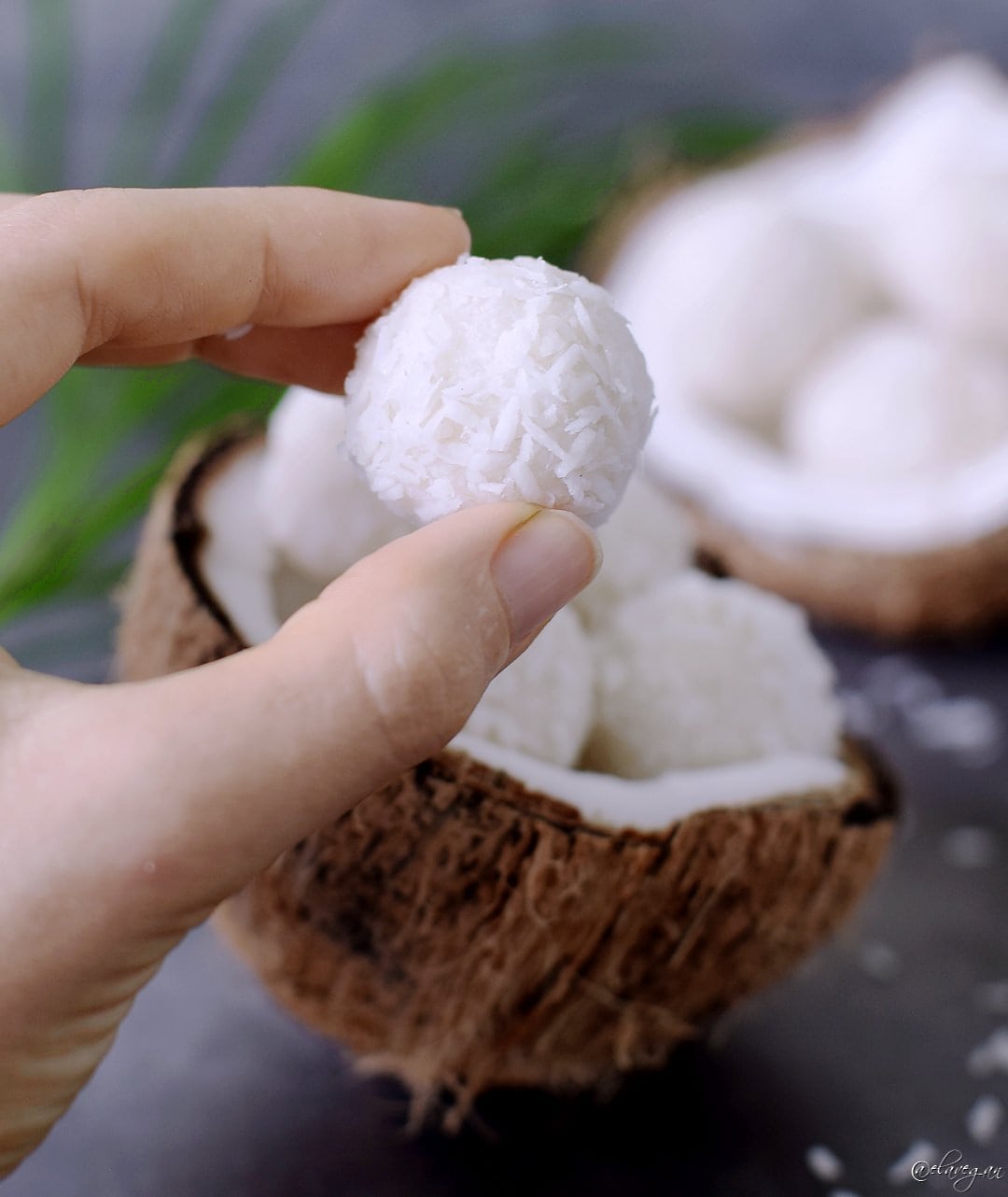 Hand hält ein Kokosbällchen vor einer Kokosschale