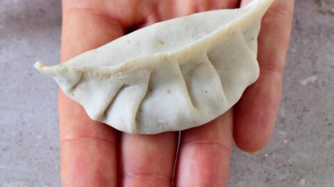 Dumpling Teigtasche (Gyoza) auf Hand