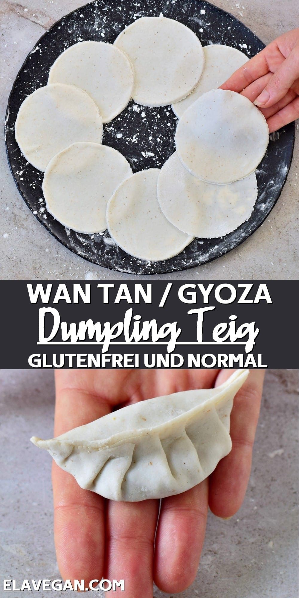 Pinterest collage Wan Tan Gyoza Dumpling Teig
