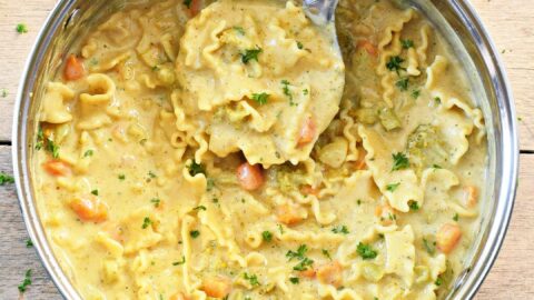 vegane Nudelsuppe mit Schöpfkelle in großem Topf