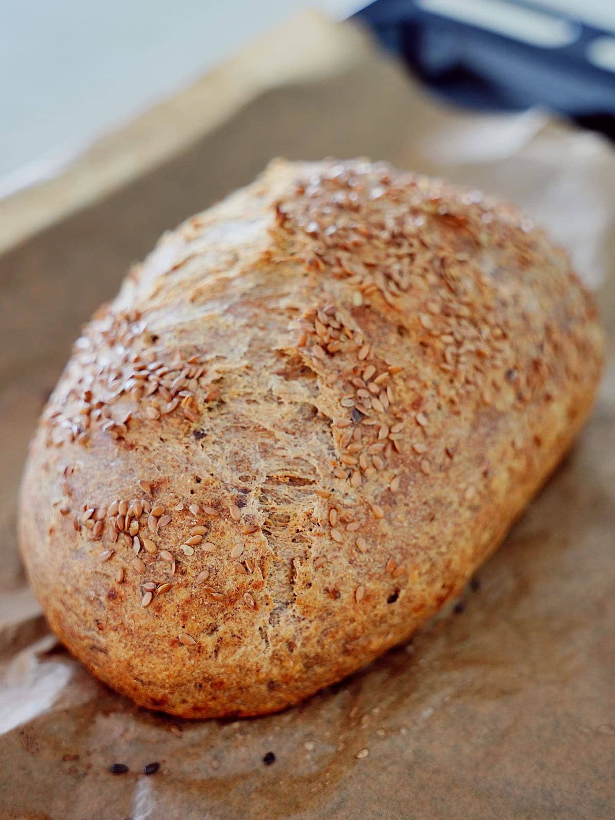 Knuspriger Laib Brot aus Kichererbsenmehl auf Backblech