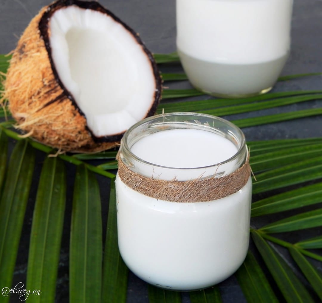 Homemade coconut milk recipe - dairy free beverage