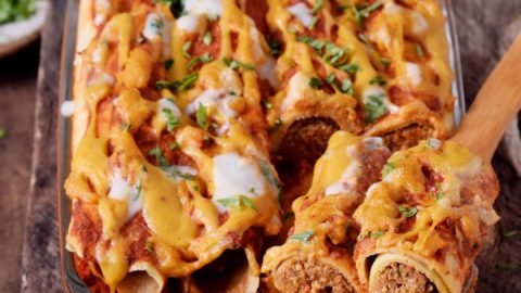 vegan enchiladas with lentil filling in casserole dish
