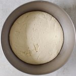 dough for vegan gluten-free steamed yeast dumplings after