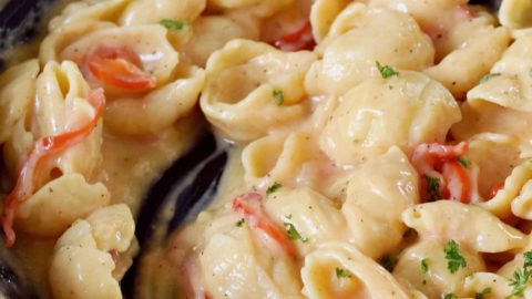 close-up of creamy noodles in a skillet