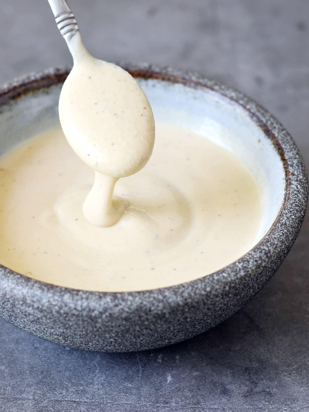 spoon in dairy-free sour cream