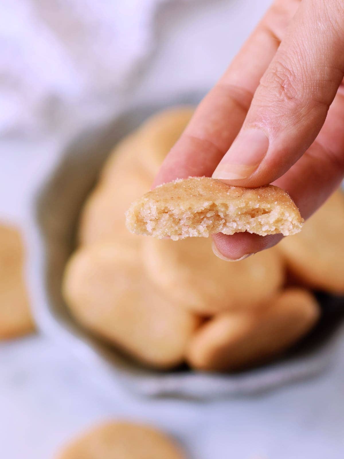 close-up of hand holding one vanilla cookie