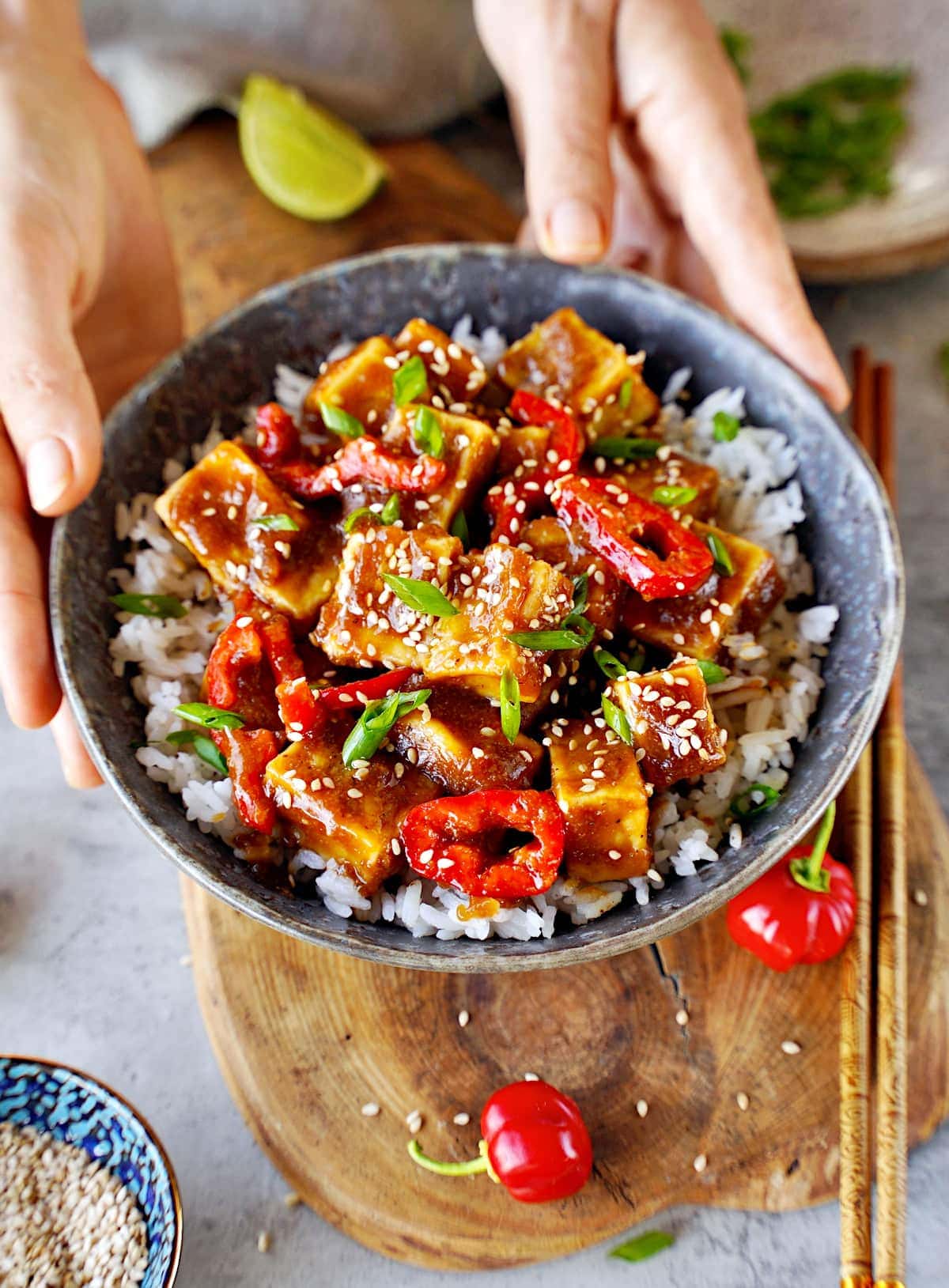 hands holding a bowl with teriyaki tofu with red pepper slices and chopped scallions