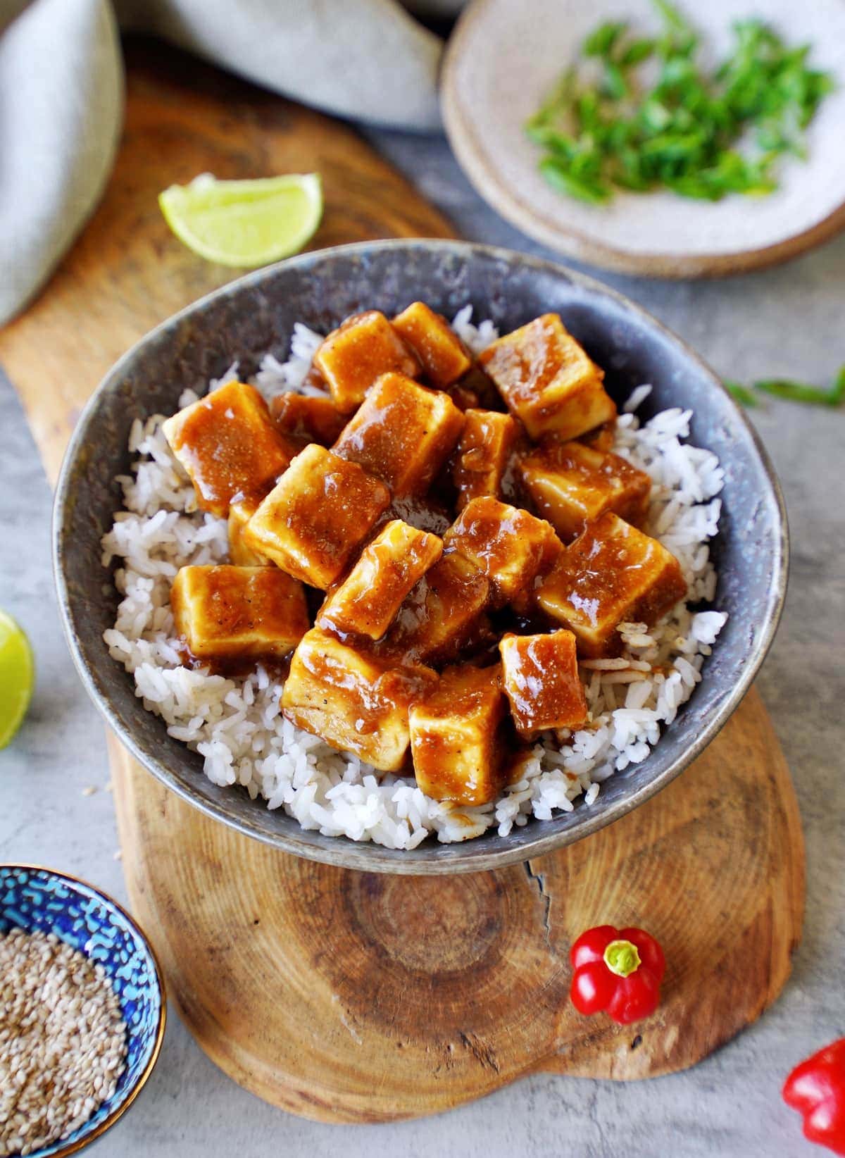 sticky tofu in bowl with rice