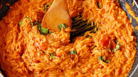 stirring creamy tomato orzo