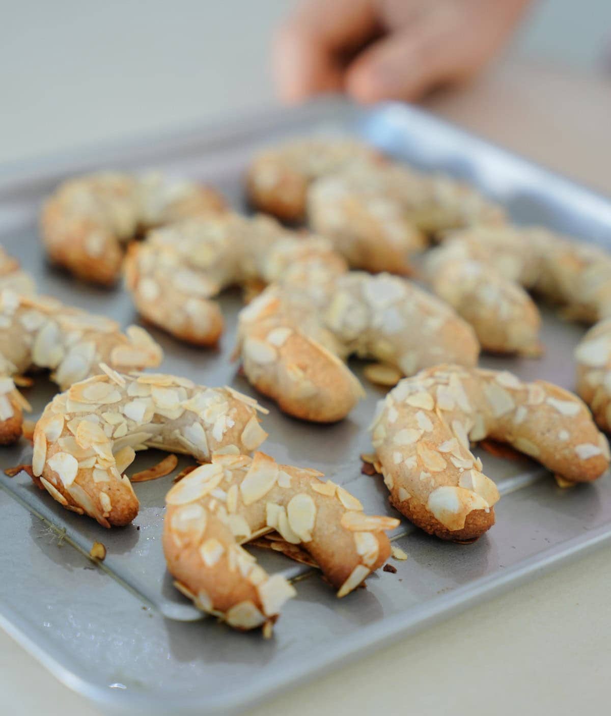 Ein Blech frisch gebackener, halbmondförmiger Mandelhörnchen mit Mandelblättchen