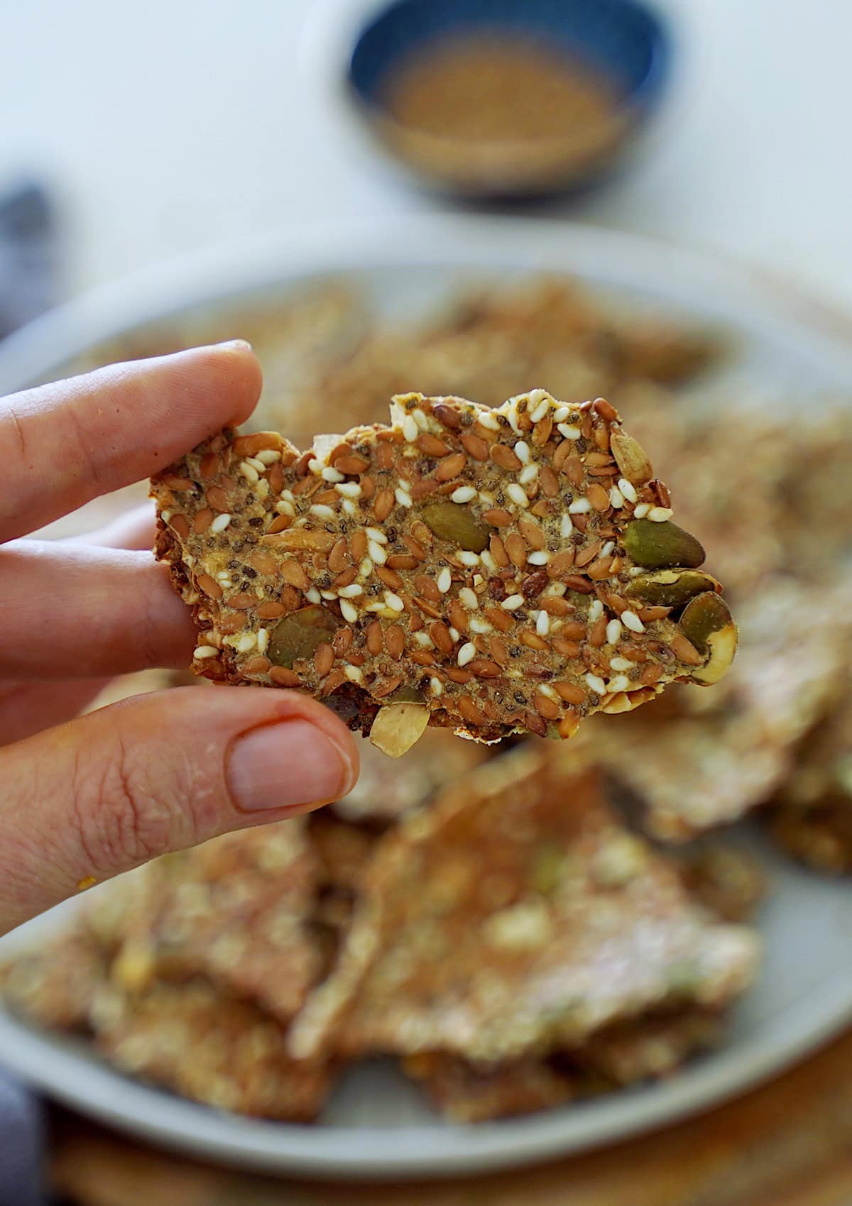 A hand holding a crispy seed cracker