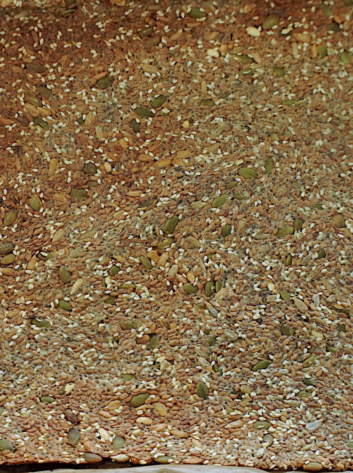 Seed crackers after baking