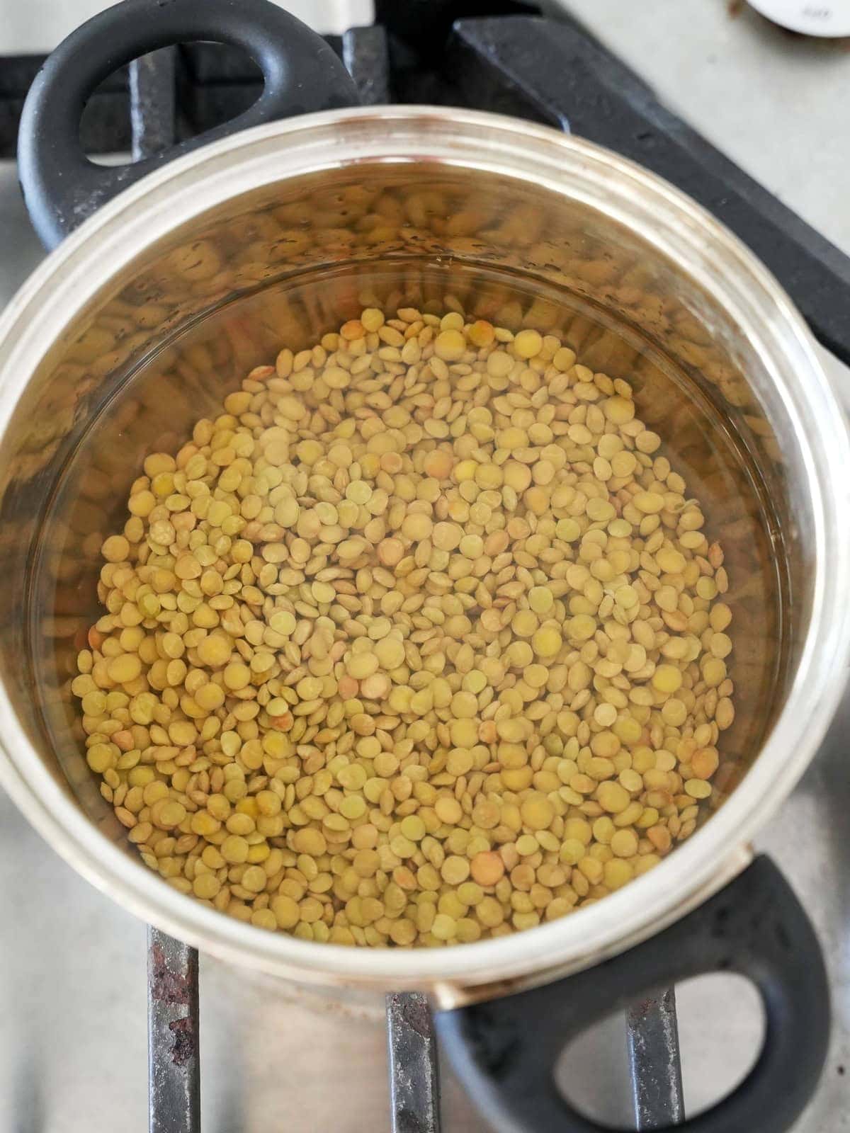 dried lentils with water in saucepan